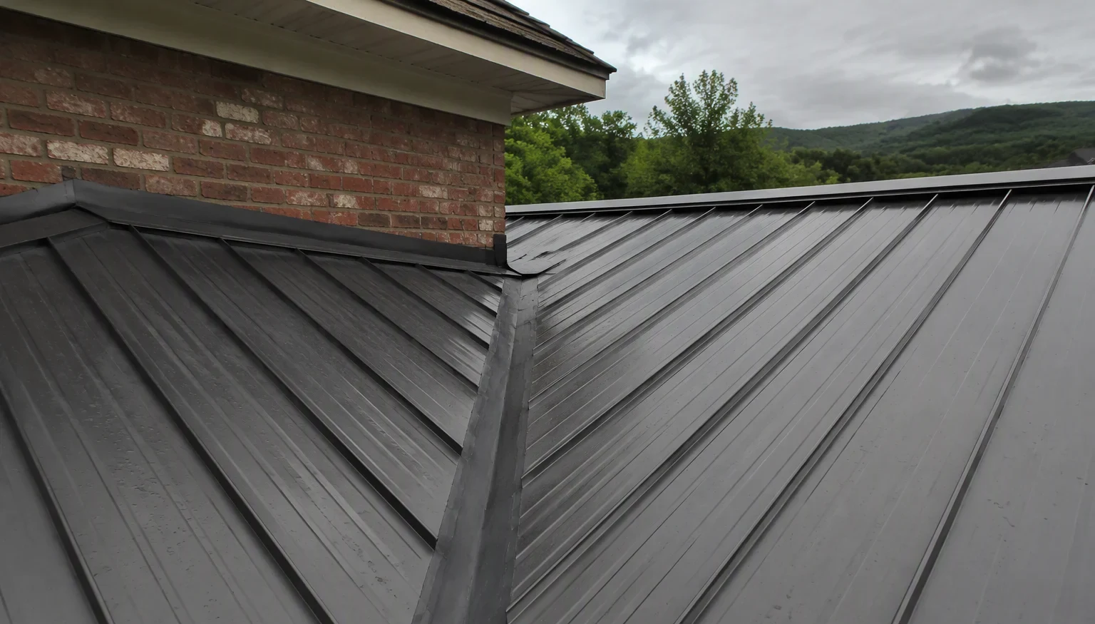 Tennessee Bat Season: What Chattanooga Homeowners Need to Know