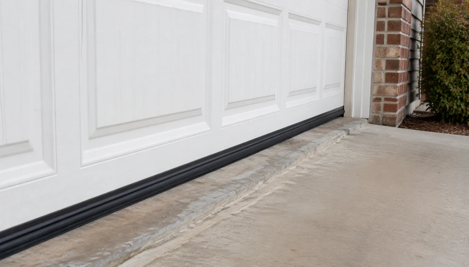 The 12 Entry Points Pests Use to Get Into Your Home